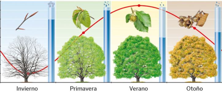 Relación de las Plantas 5ºA Prim