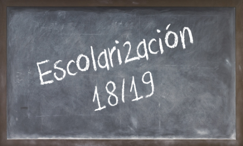 Escolarización 2018-2019 (Actualizado).