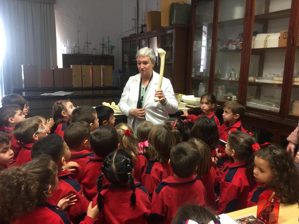 El Cuerpo Humano (Infantil 4 Años).